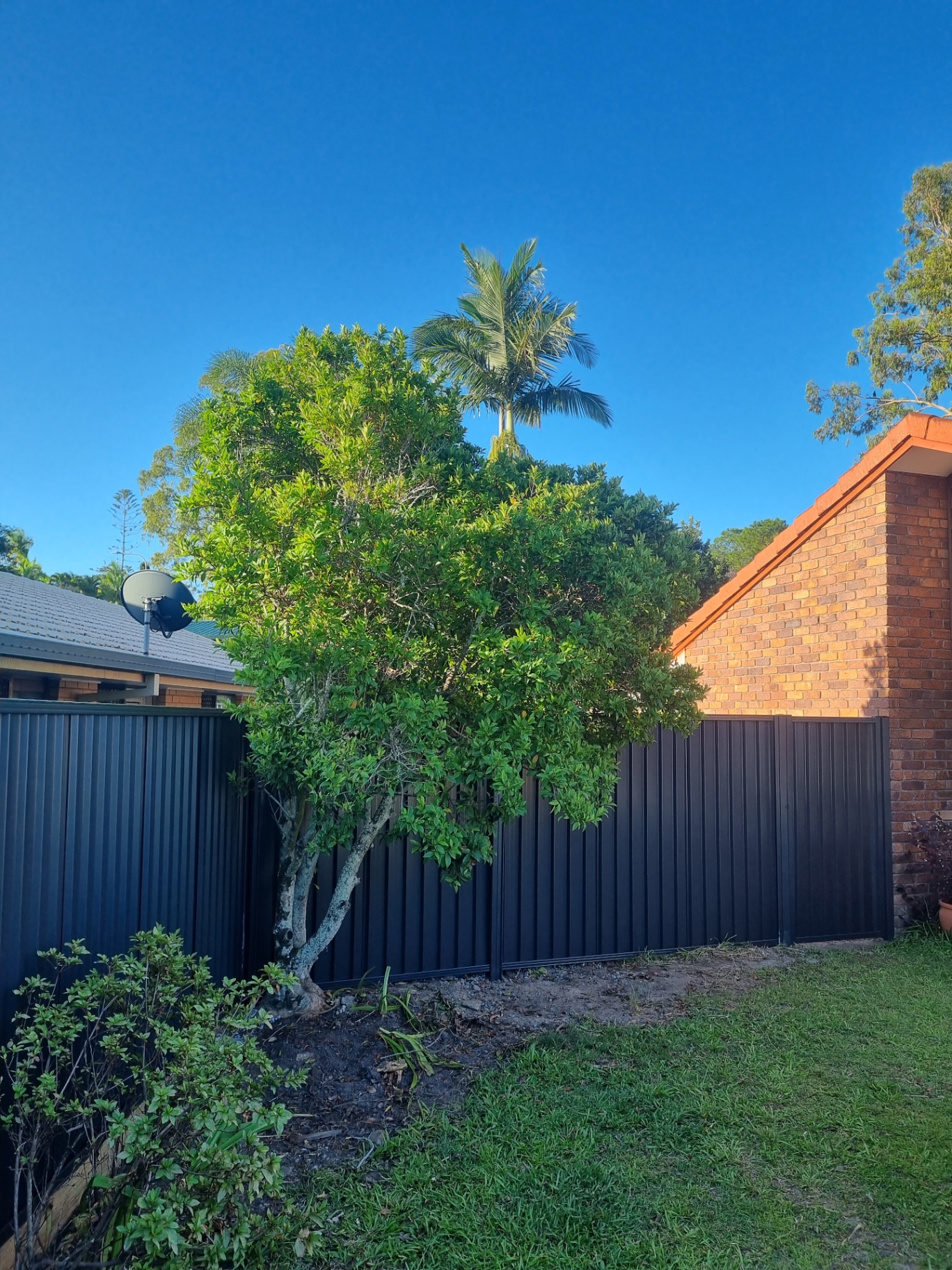 Dark Colorbond fence with sleeper plinths along a paved walkway.