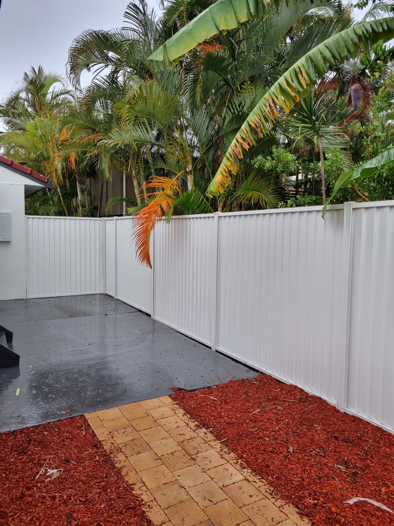 Cream Colorbond residential boundary fence with full-height panels and a tropical garden behind.