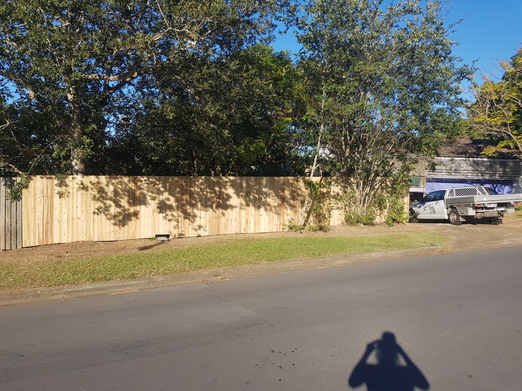 Hardwood timber paling boundary fence by Ridgeback Fences running along a suburban street under leafy trees.